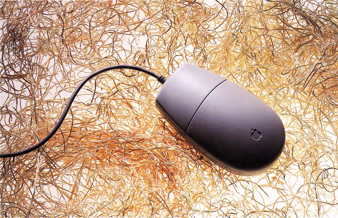 Apple ADB Mouse II (Topolino) original image 243