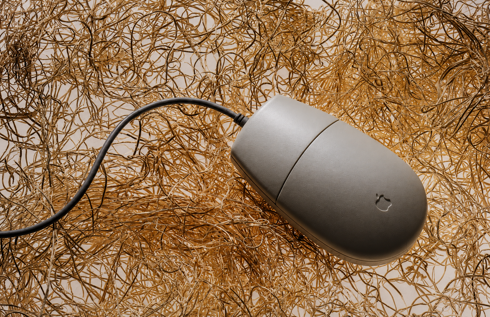 Apple ADB Mouse II (Topolino) upscaled image 243