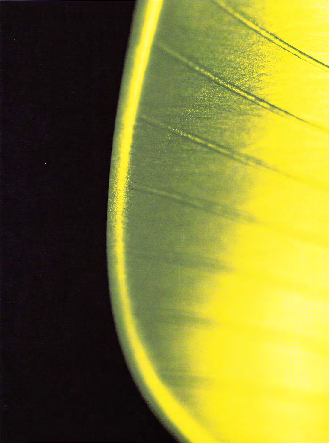 LOOKING FORWARD 402 402 Botanic. Detail of a Future Newton-based Portable original image 402