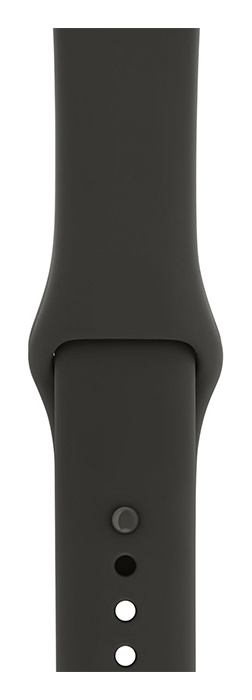 Gray/Black Sport Band