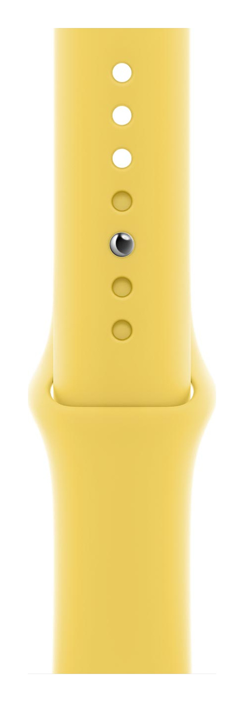Ginger Sport Band