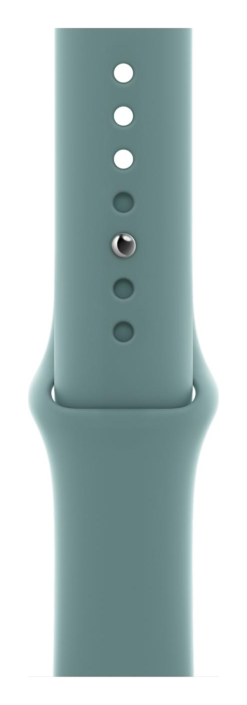Cactus Sport Band