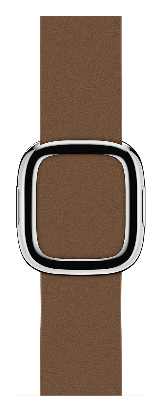 Brown Modern Buckle