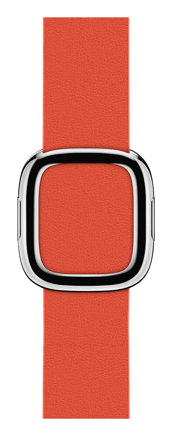 Red Modern Buckle