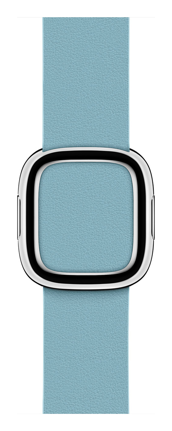 Blue Jay Modern Buckle