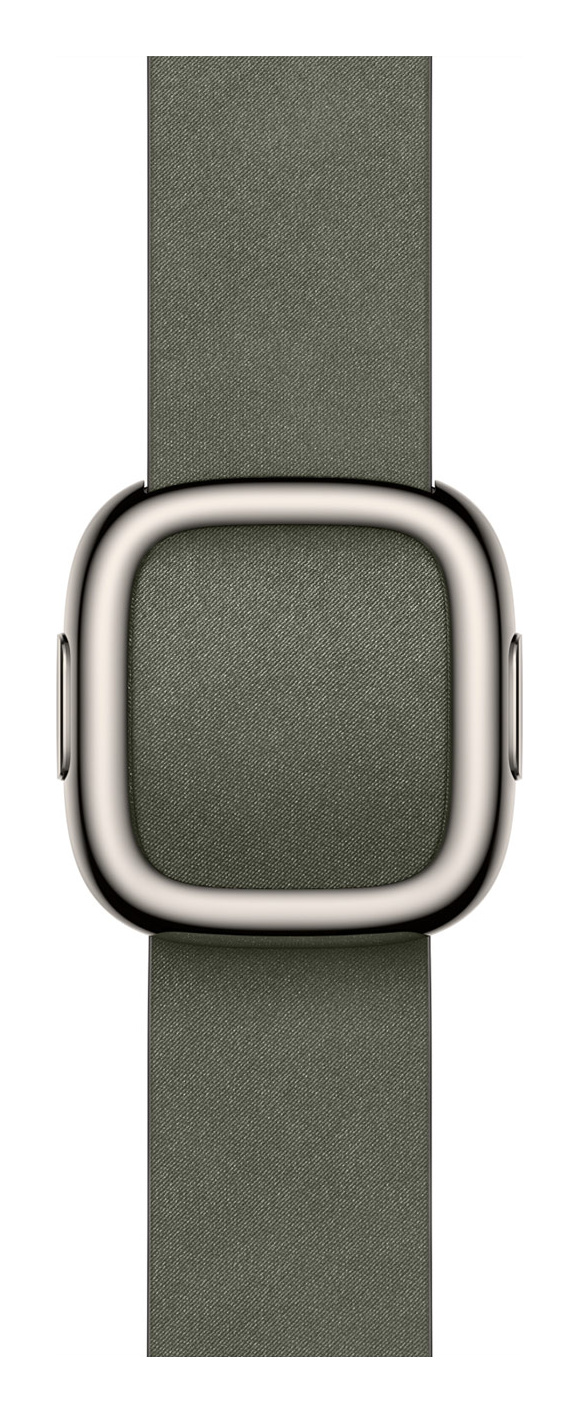 Sage Gray Modern Buckle