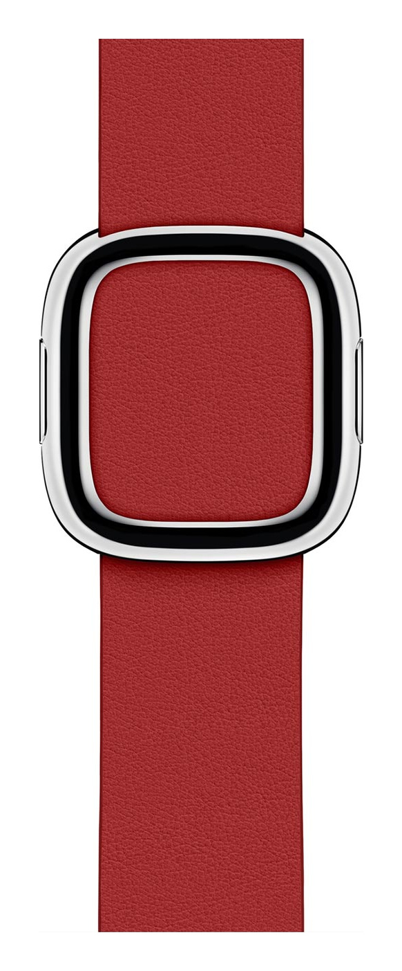 Ruby Modern Buckle