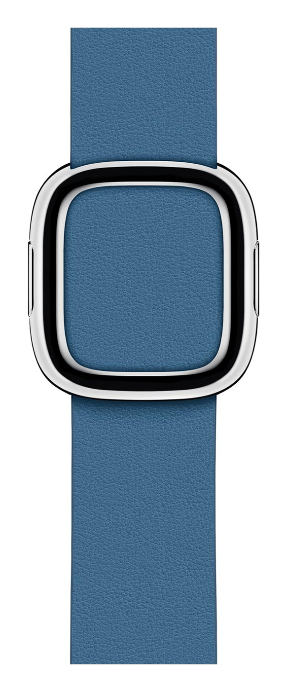 Cape Cod Blue Modern Buckle