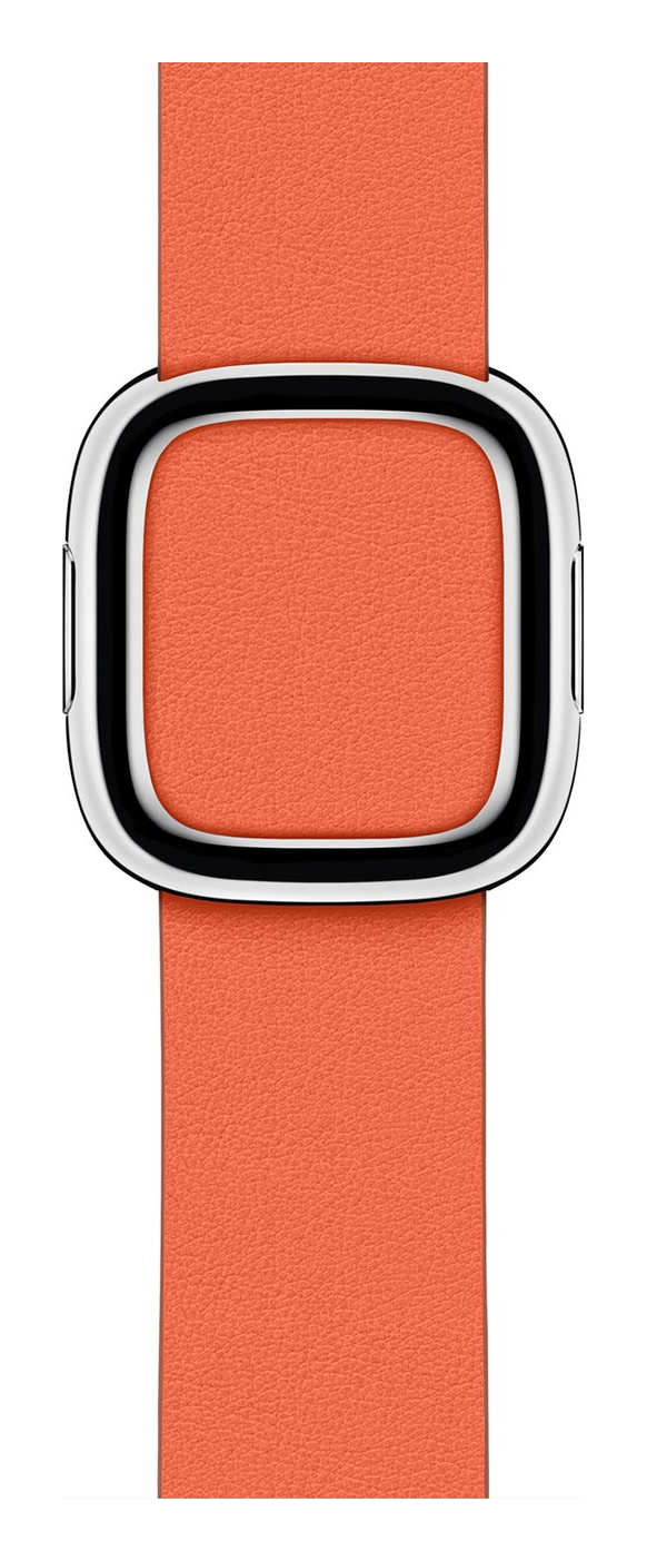 Sunset Modern Buckle