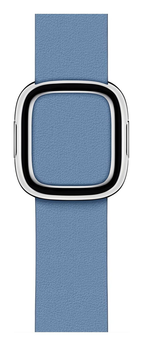 Cornflower Modern Buckle