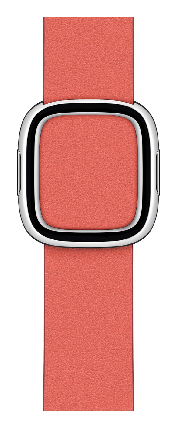 Pink Citrus Modern Buckle