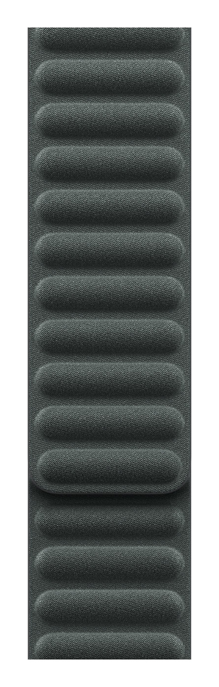 Evergreen Magnetic Link
