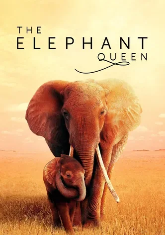 The Elephant Queen