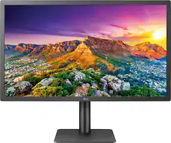 LG UltraFine 4K Display (23.7-inch, 2019)