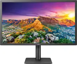 LG UltraFine 4K Display 23.7"